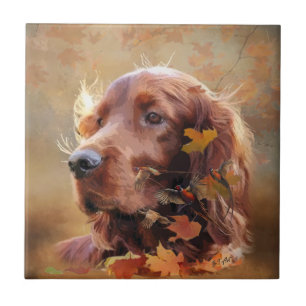 Irish Setter Fliese