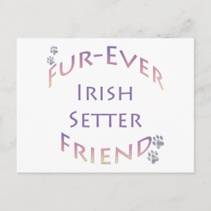 Irish Setter Furever Postkarte