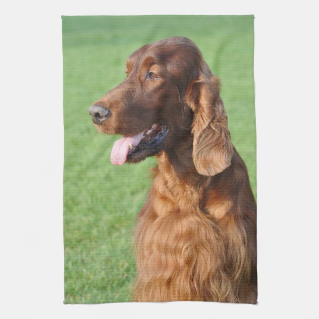 Irish Setter Geschirrtuch (Vertikal)