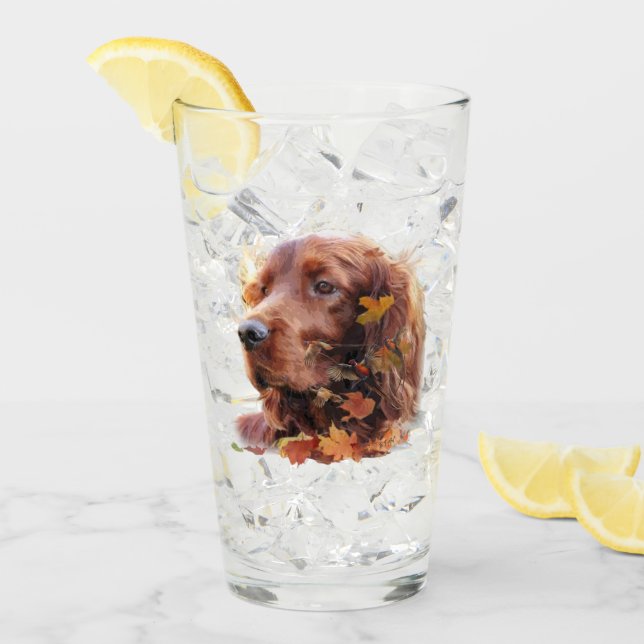 Irish Setter Glas (Vorderseite Ice)