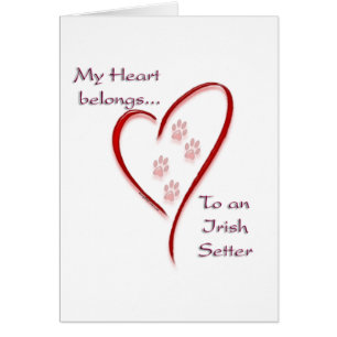 Irish Setter Heart Belongs