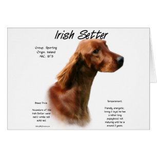 Irish Setter History Design