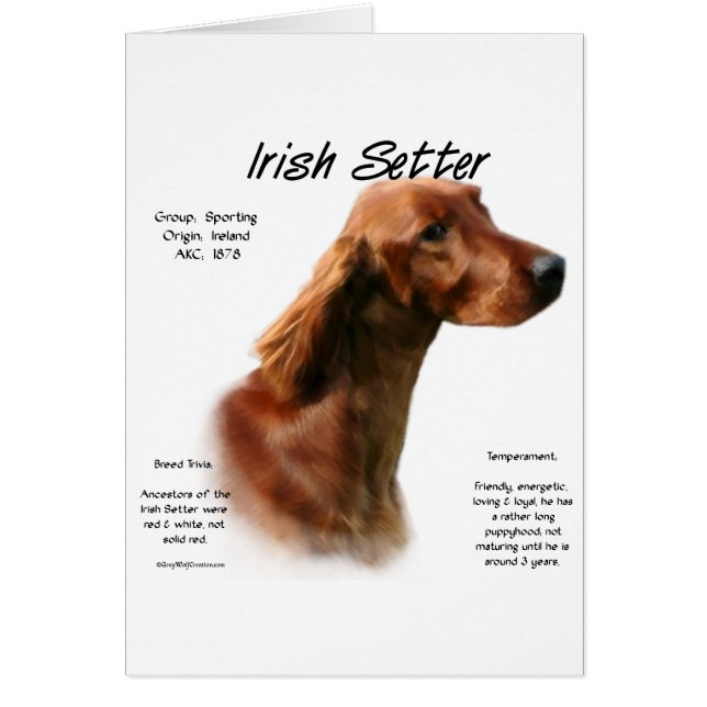 Irish Setter History Design (Vorne)