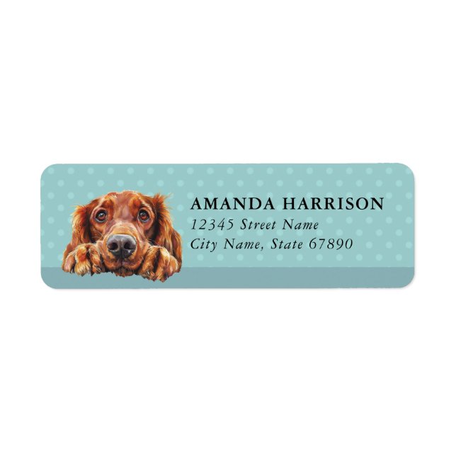 Irish Setter Hund Rücksendeadressetiketten (Vorne)