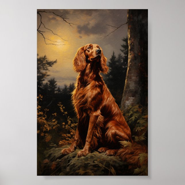 Irish Setter in der Nacht Poster (Vorne)