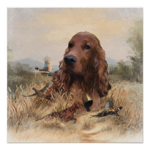 Irish Setter Jagd Fasant, Art Poster