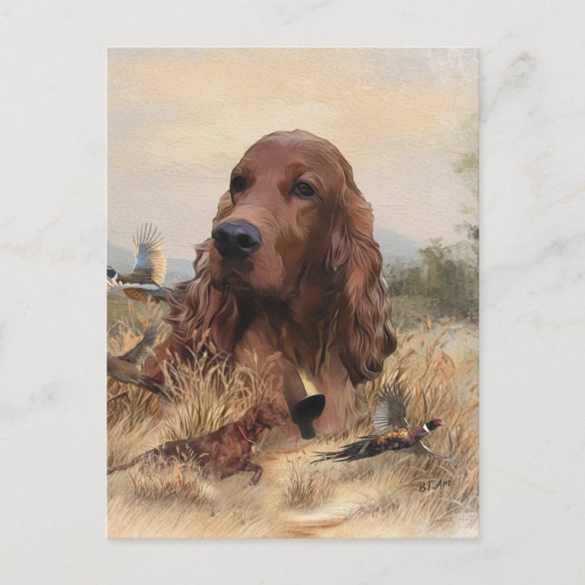 Irish Setter Jagd Fasant, Art Postkarte (Vorderseite)