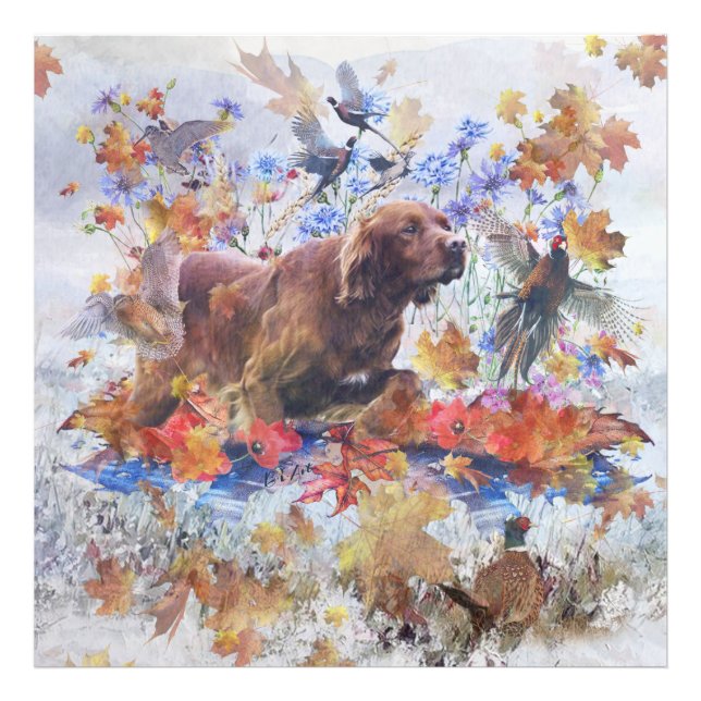 Irish Setter Jagd Foto Print (Vorne)