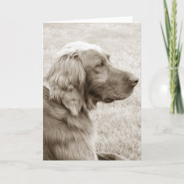 Irish Setter Karte