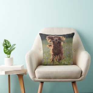 Irish Setter läuft mit einem Stock Kissen