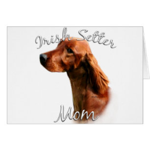 Irish Setter Mama 2