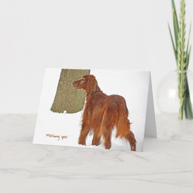 Irish Setter Miss You Karte (Vorderseite)