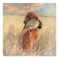 Irish Setter mit Fasan