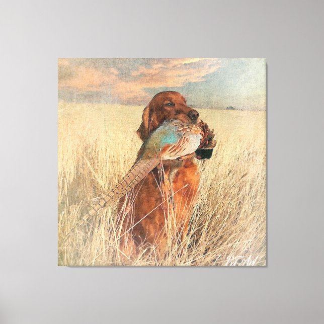 Irish Setter mit Fasan Leinwanddruck (Vorderseite)
