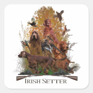 Irish Setter mit Fasan Quadratischer Aufkleber