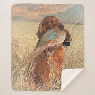 Irish Setter mit Fasan Sherpadecke