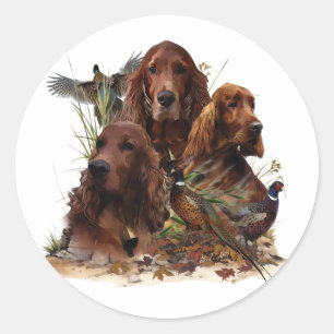 Irish Setter mit Fasanen - Leidenschaft Jagd Runder Aufkleber