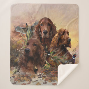 Irish Setter mit Fasanen - Leidenschaftliche Jagd Sherpadecke