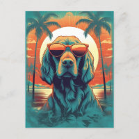 Irish Setter mit Sonnenbrille am Strand