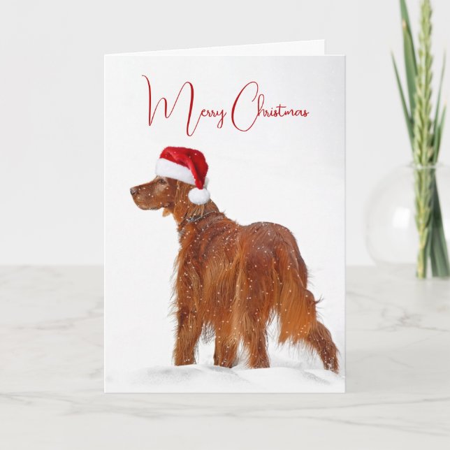 Irish Setter mit Weihnachtshut Karte (Vorderseite)