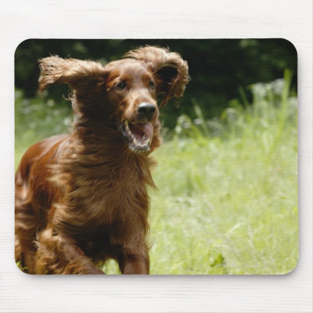 Irish Setter Mousepad (Vorne)