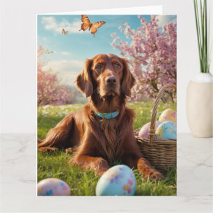 Irish Setter Ostereier Karte