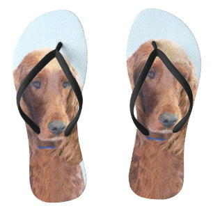 Irish Setter Painting - Niedliche Original Dog Art Flip Flops