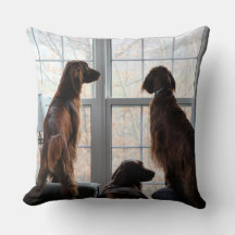 Irish Setter Pillow