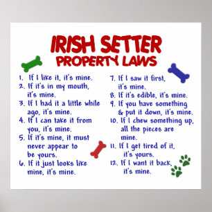 IRISH SETTER PL2 POSTER