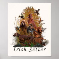 Irish Setter