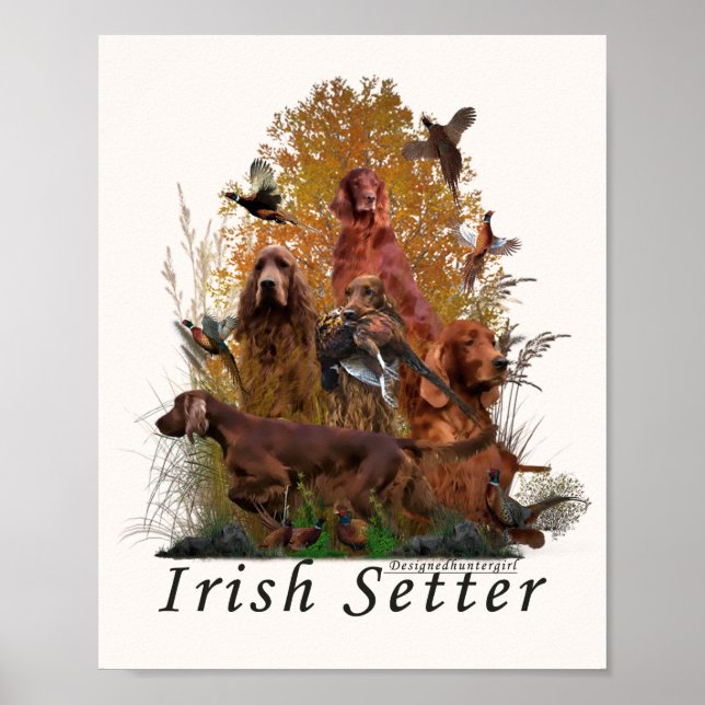 Irish Setter Poster (Vorne)