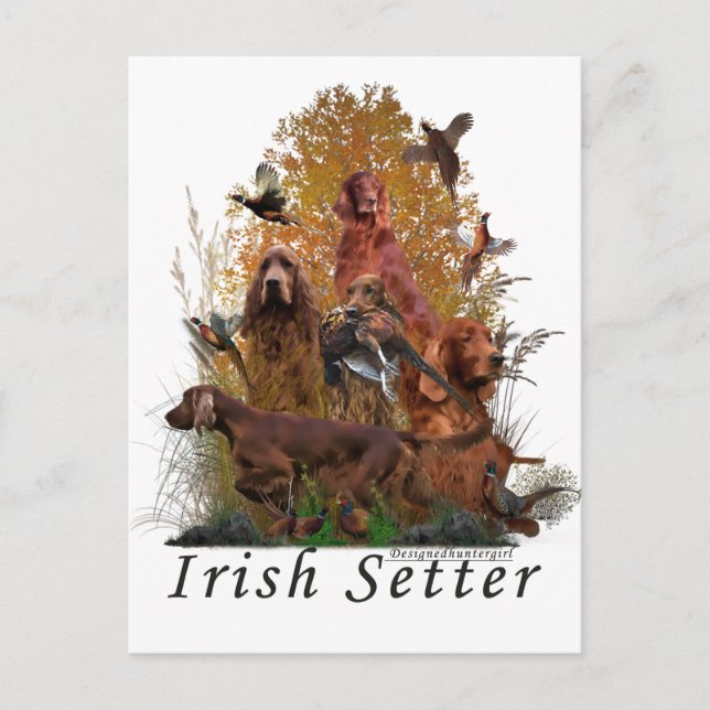 Irish Setter Postkarte (Vorderseite)