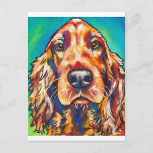 Irish Setter Postkarte