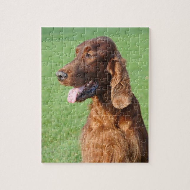 Irish Setter Puzzle (Vertikal)