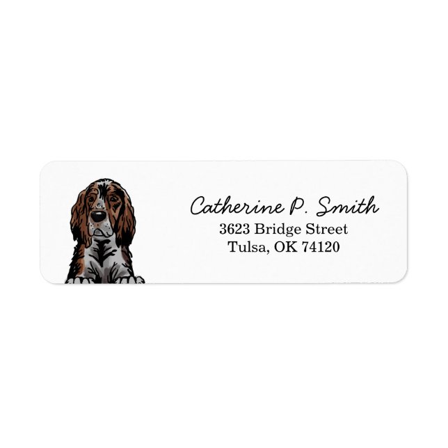 Irish Setter Rücksendeadresse (Vorne)