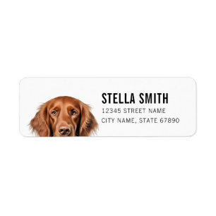 Irish Setter Rücksendeadressen-Aufkleber
