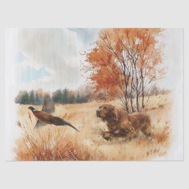 Irish Setter  Seidenpapier (Vorderseite)