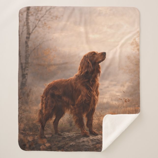 Irish Setter Sherpadecke (Vorderseite)