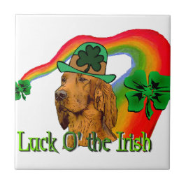Irish Setter St Patricks Fliese