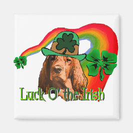 Irish Setter St. Patricks Magnet