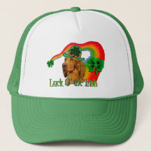 Irish Setter St Patricks