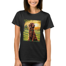 IRISH SETTER SUN WIEDERHOLUNG