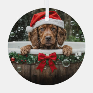 Irish Setter Süße Weihnachtsferien Hund Ornament Aus Glas