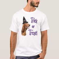 Irish Setter Trick
