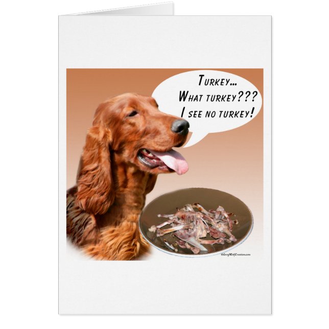 Irish Setter Türkei (Vorne)