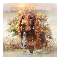 Irish Setter - Ultimate Upland Bird Dog