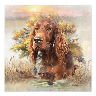 Irish Setter - Ultimate Upland Bird Dog Fotodruck