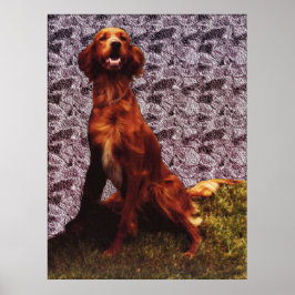 Irish Setter und Gemustertes Betonmauerplakat Poster