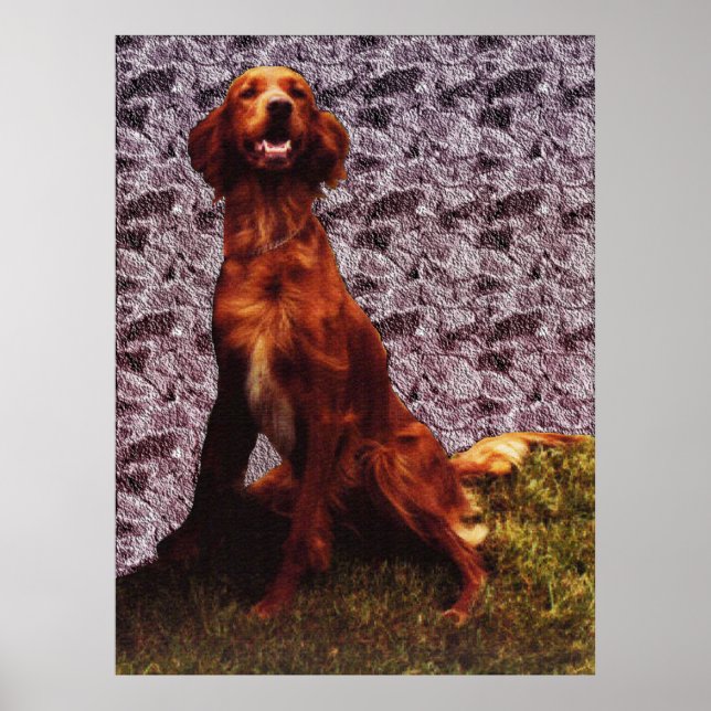 Irish Setter und Gemustertes Betonmauerplakat Poster (Vorne)
