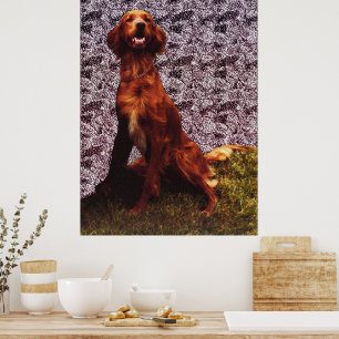 Irish Setter und Wandposter mit strukturiertem Bet Poster